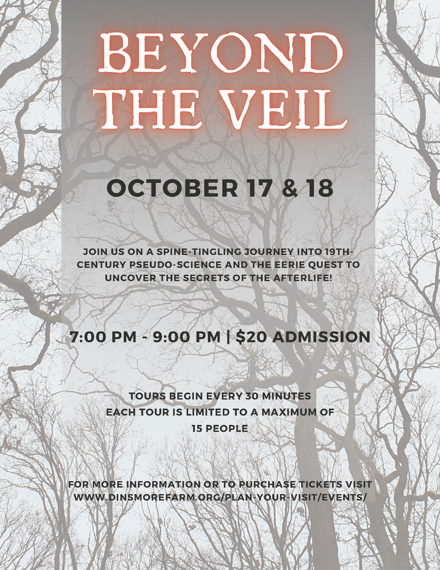 Beyond the Veil